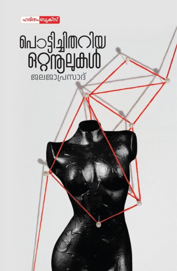 Pottichithariya Ottanulukal